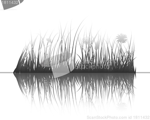 Image of grass on water