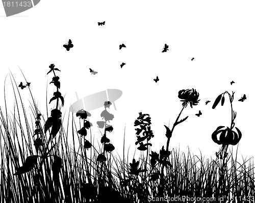 Image of meadow silhouettes