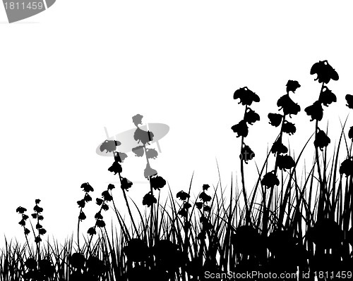 Image of meadow silhouettes