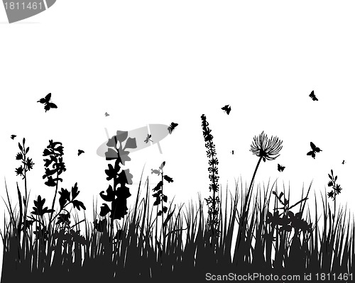 Image of meadow silhouettes