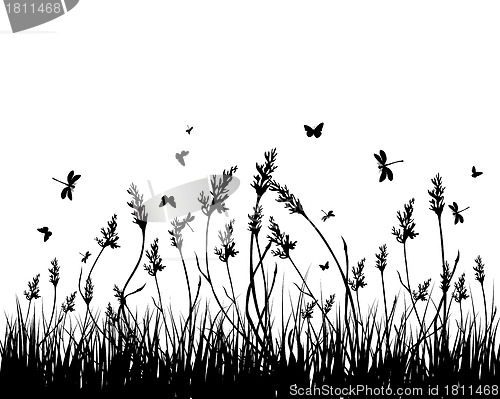 Image of meadow silhouettes