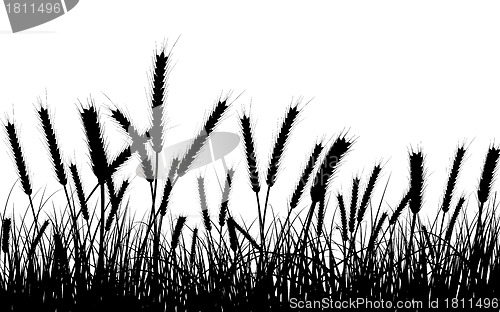 Image of meadow silhouettes