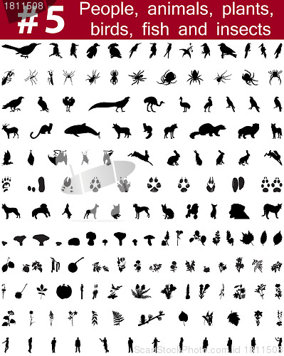 Image of vector silhouettes set