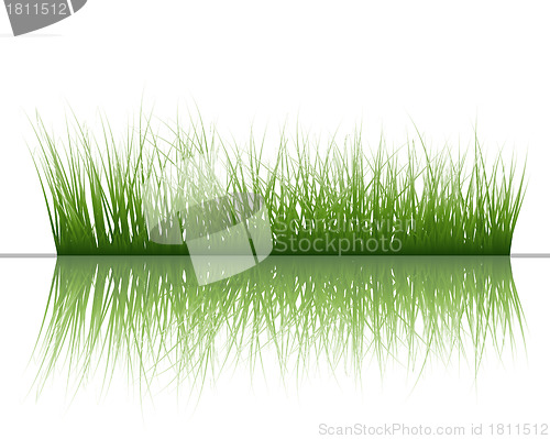 Image of grass on water