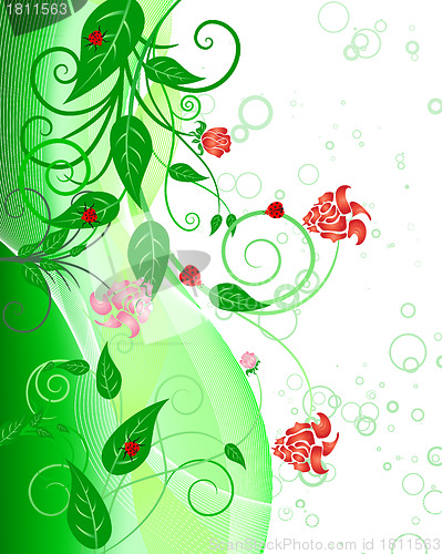 Image of floral background