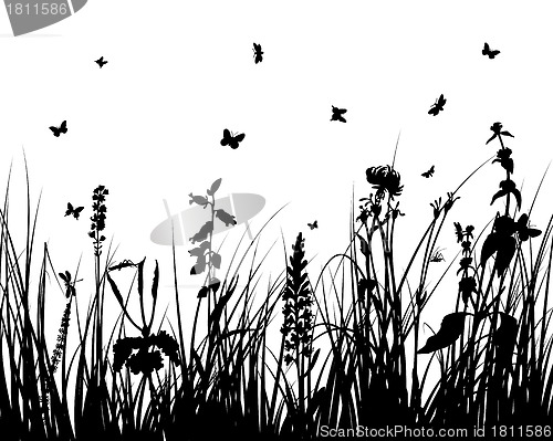 Image of meadow silhouettes