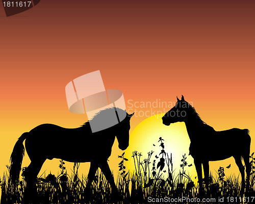 Image of horse on sunset background