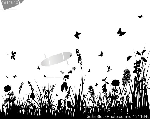 Image of meadow silhouettes