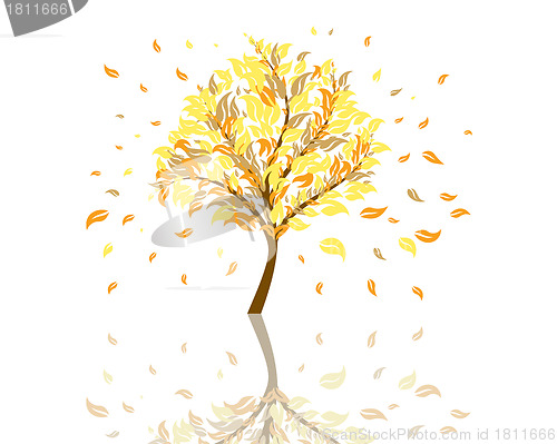 Image of autumn tree