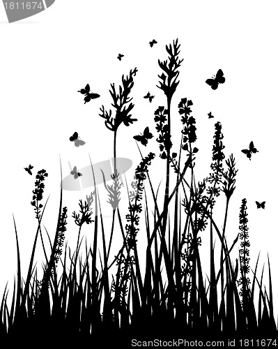 Image of meadow silhouettes