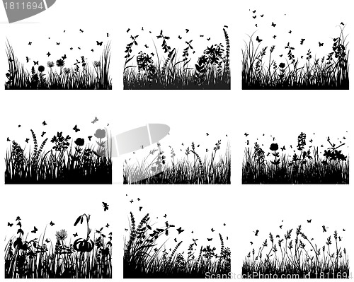 Image of meadow silhouettes