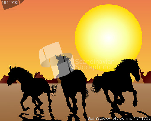 Image of horse on sunset background