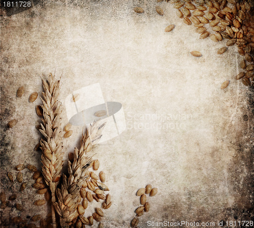 Image of Wheat