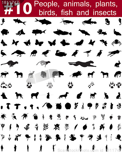 Image of vector silhouettes set