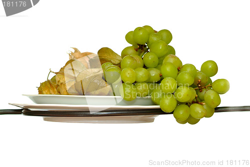 Image of vine grapes