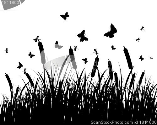 Image of meadow silhouettes