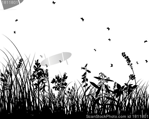 Image of meadow silhouettes