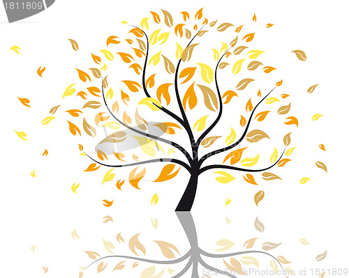 Image of autumn tree