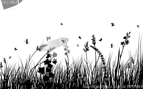 Image of meadow silhouettes