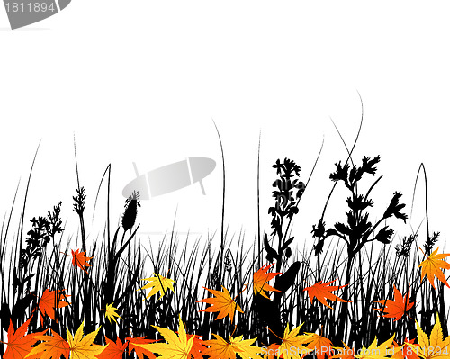 Image of autumn meadow silhouettes