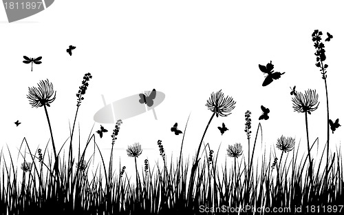 Image of meadow silhouettes