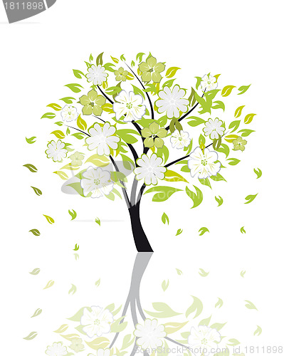 Image of blossom tree
