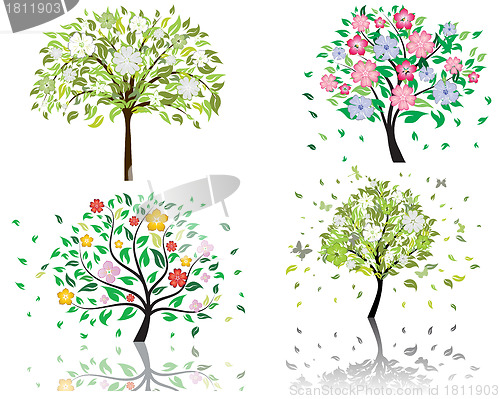 Image of blossom tree