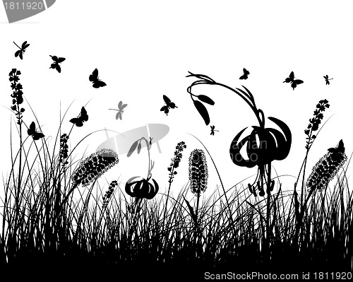 Image of meadow silhouettes