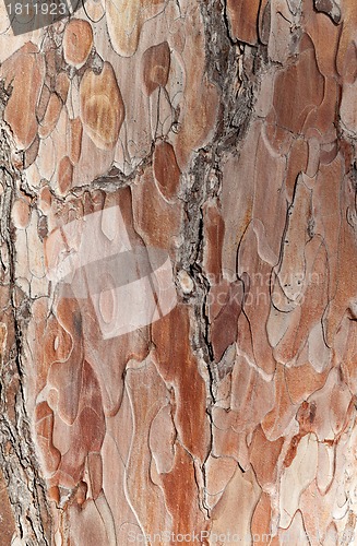 Image of Wooden texture