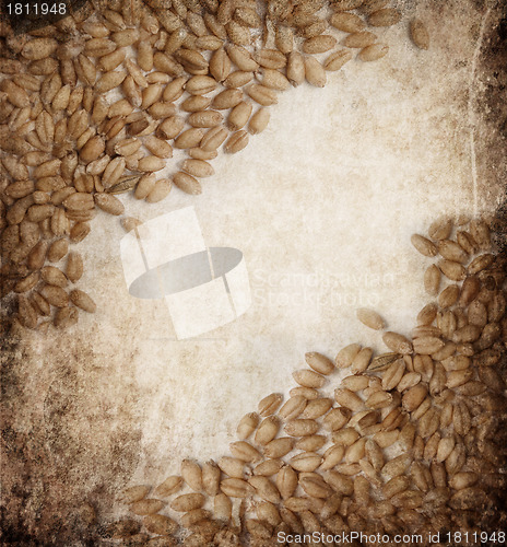 Image of Wheat 
