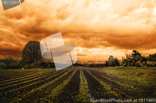 Image of Dramatic Landscape