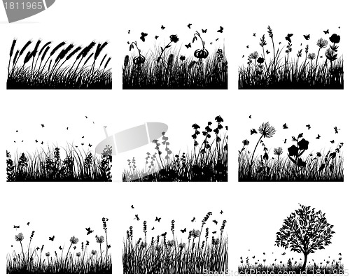 Image of meadow silhouettes