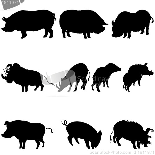 Image of pigs and boars silhouettes set