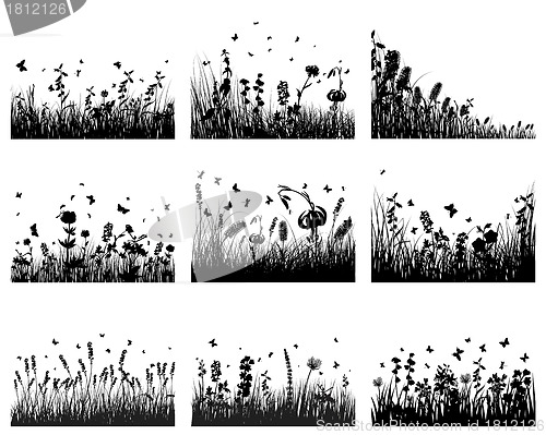 Image of meadow silhouettes