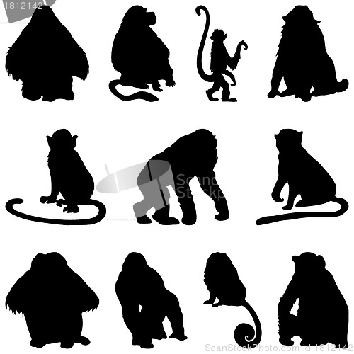 Image of apes silhouettes set