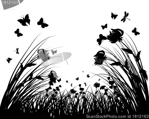 Image of meadow silhouettes