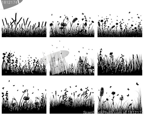 Image of meadow silhouettes