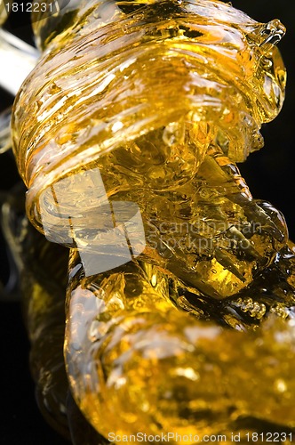 Image of Caramel on the black