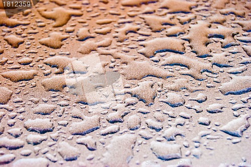 Image of Water drops