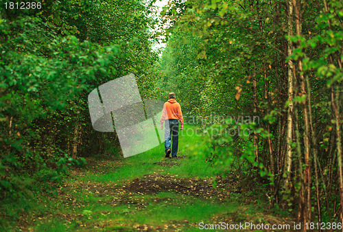 Image of Man Walking in the Forest