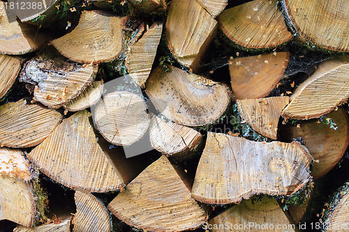 Image of Background of Stacked Chopped Firewood Logs