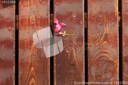 Image of Background of the Wooden Board Floor