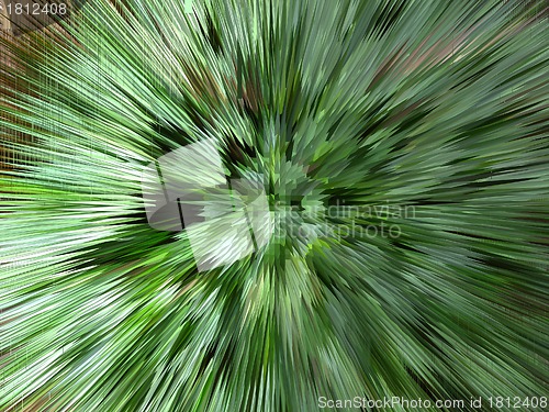 Image of Green background