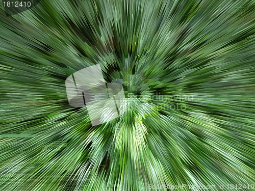 Image of Green background