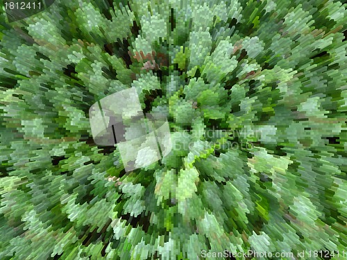 Image of Green background