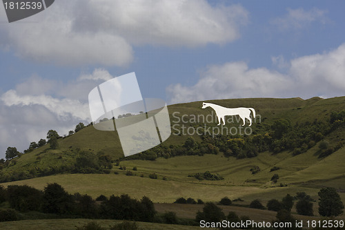 Image of White horse