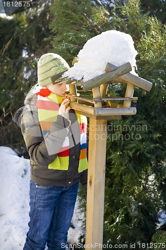 Image of Bird feeder