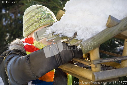 Image of Bird feeder