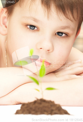 Image of The boy observes cultivation of a young plant. 