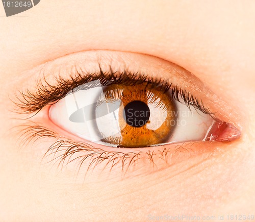 Image of Human eye close up ...